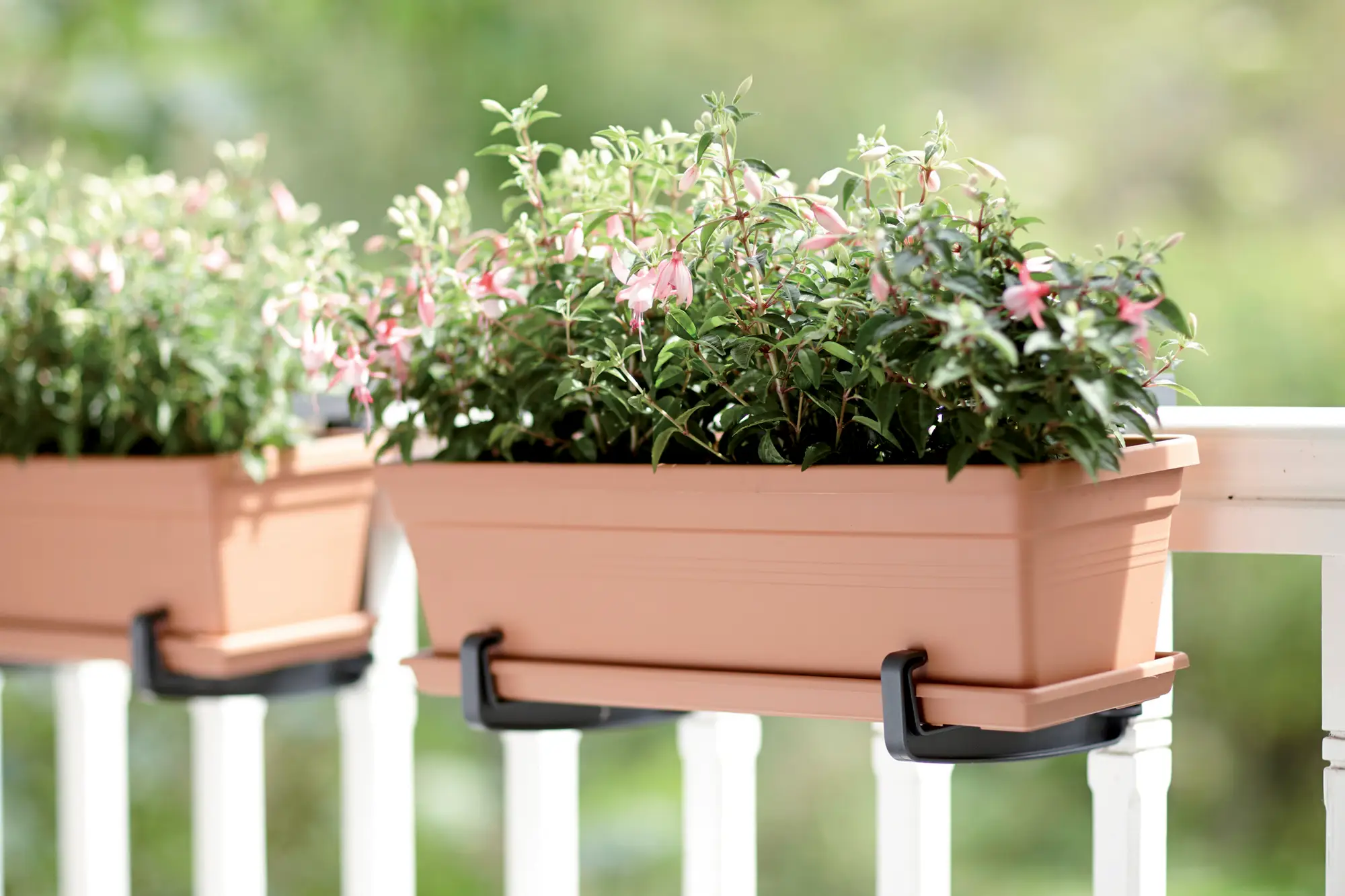 Elho Green Basics Trough 60cm Terracotta - Image 4