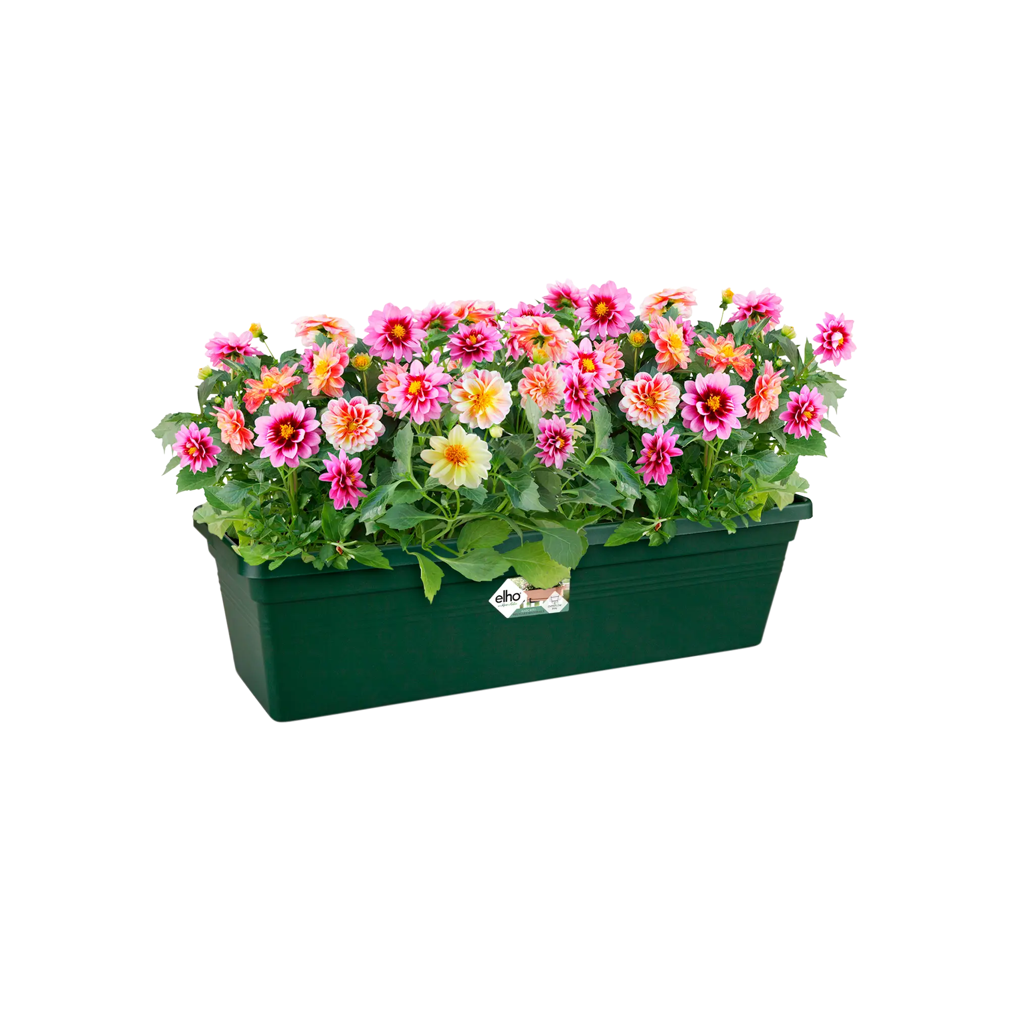 Elho Green Basics Trough 80cm Leaf Green - Image 2
