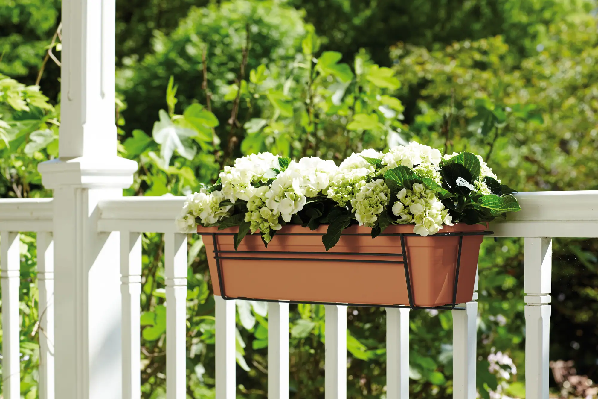 Elho Green Basics Trough 80cm Terracotta - Image 6