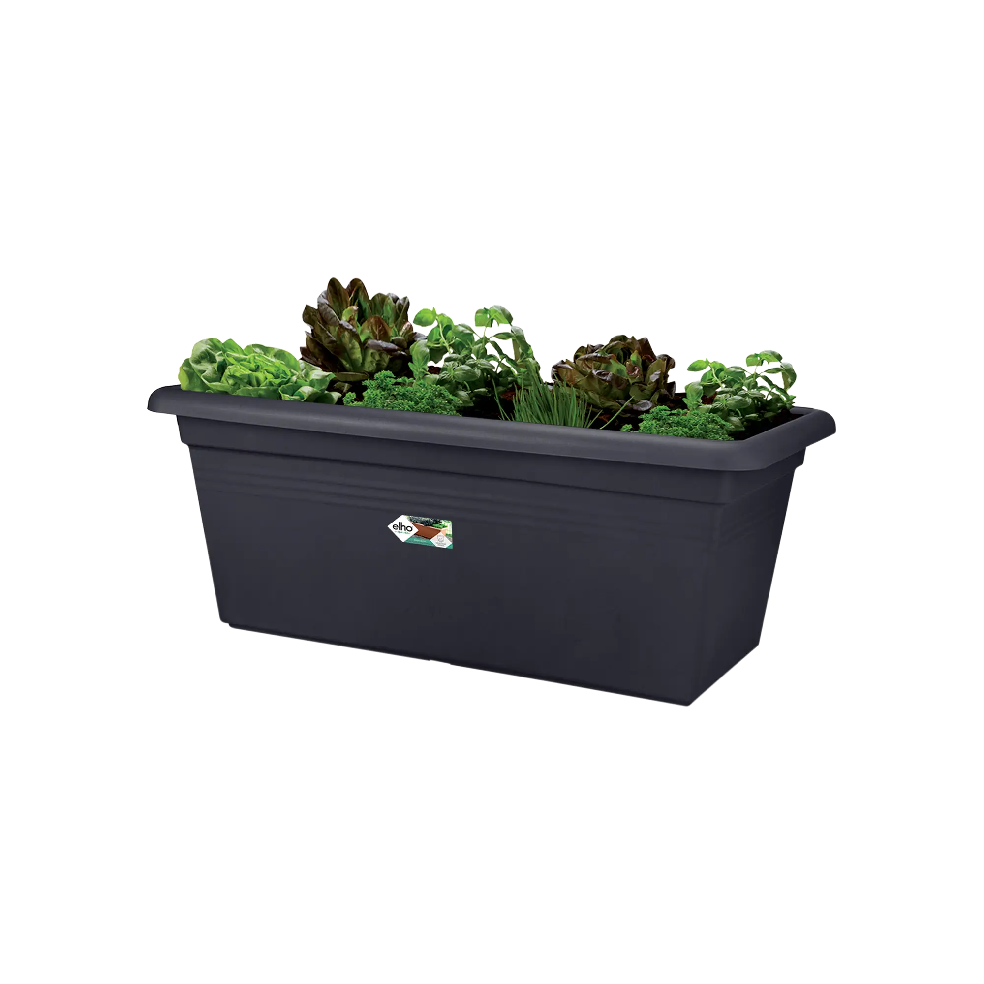 Elho Green Basics XXL Trough 80cm Living Black - Image 3