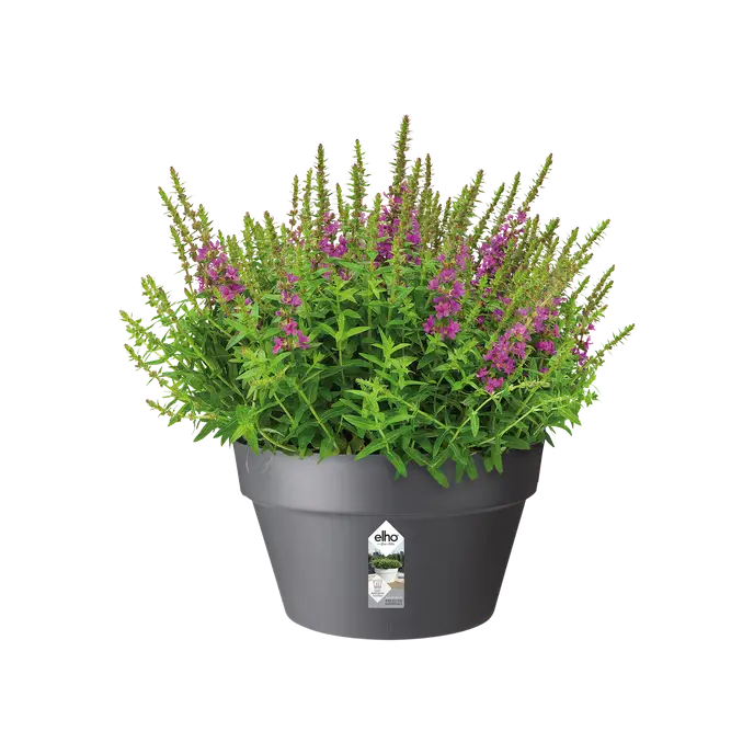 Elho Loft Urban Bowl 35cm - Image 2