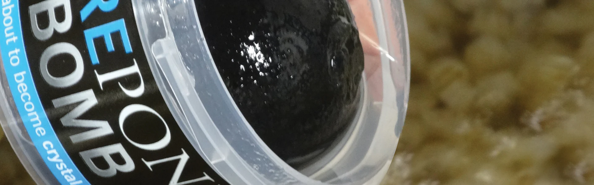 Evolution Aqua Pond Bomb - Image 2