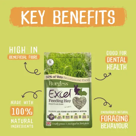 Excel Forage Dried Grass 1kg - Image 2
