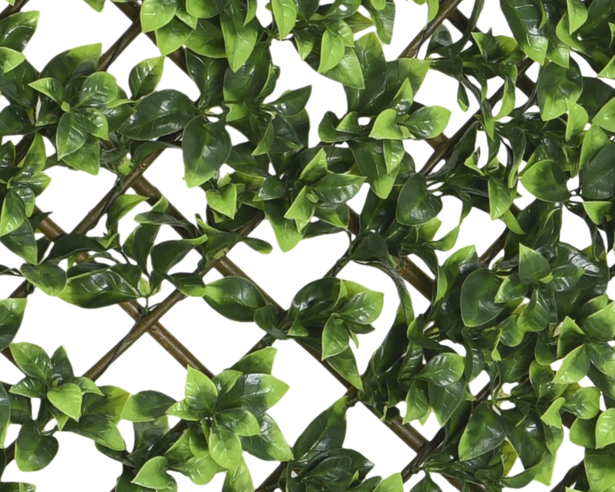 Everlands Artificial Hedge Expandable Screen - ivy leaf 180cm x 90cm - Image 2