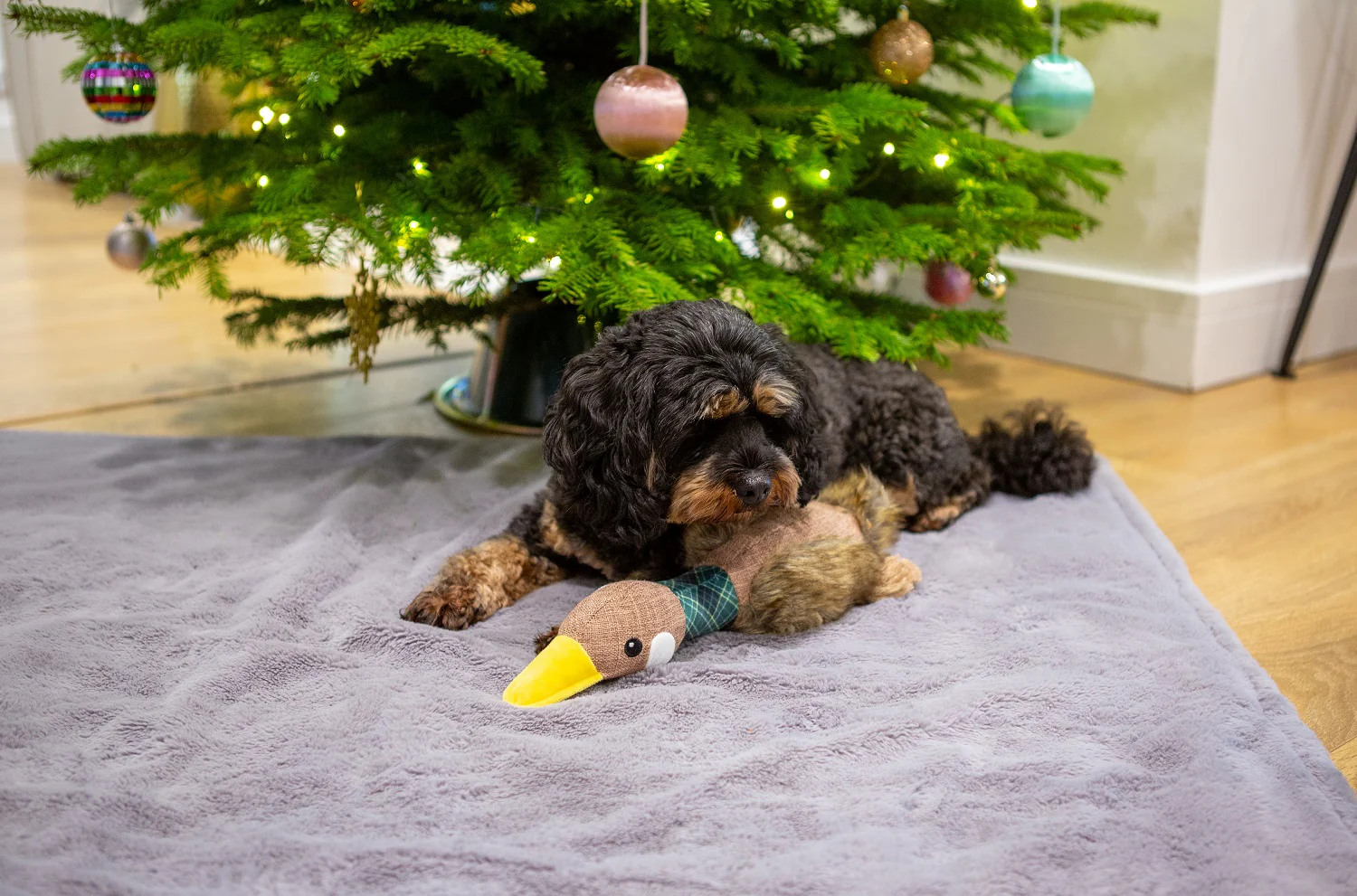 Festive Goose Green Dog Toy - Image 3
