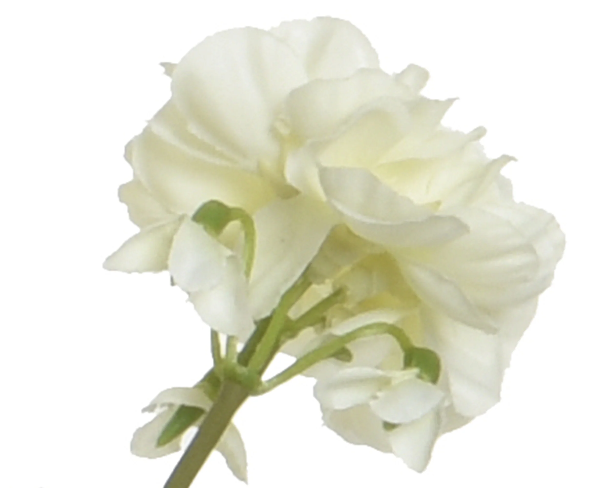 Flower in pot - sold separately - Image 5