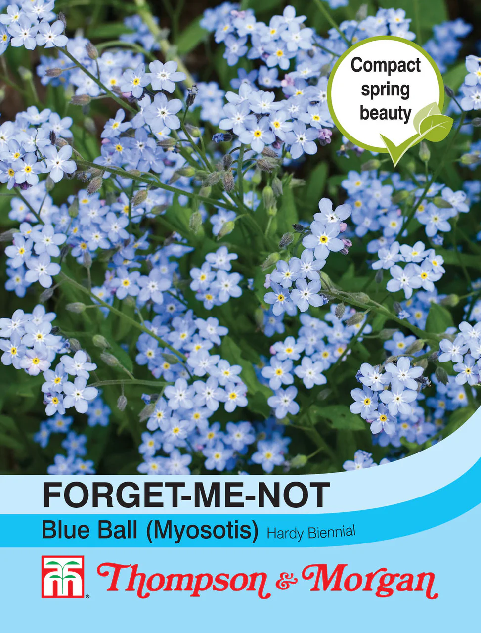 Forget-me-not Bl Ball Myosotis