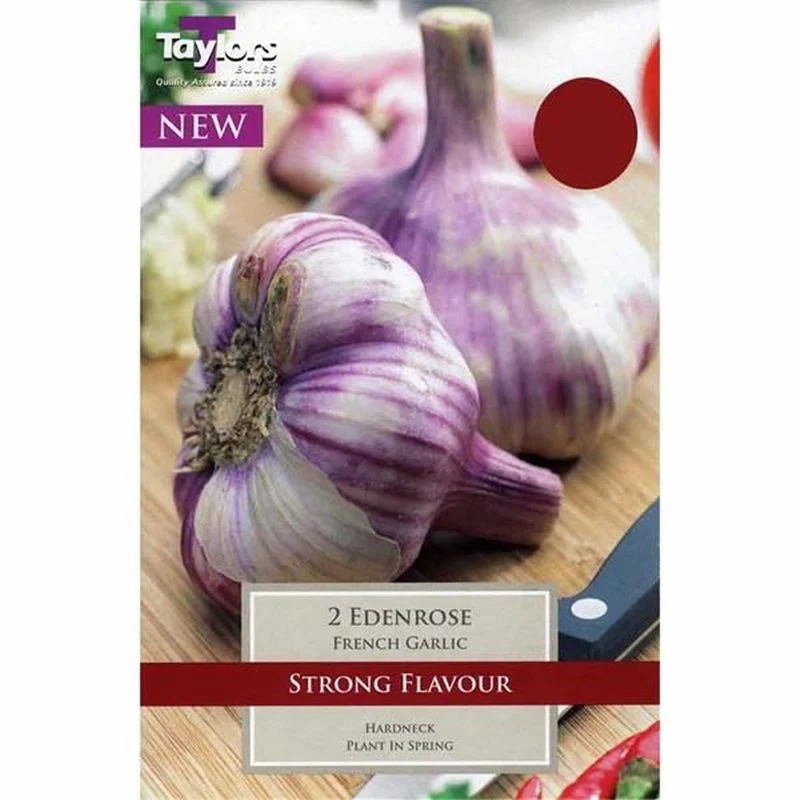 French garlic Eden Rose