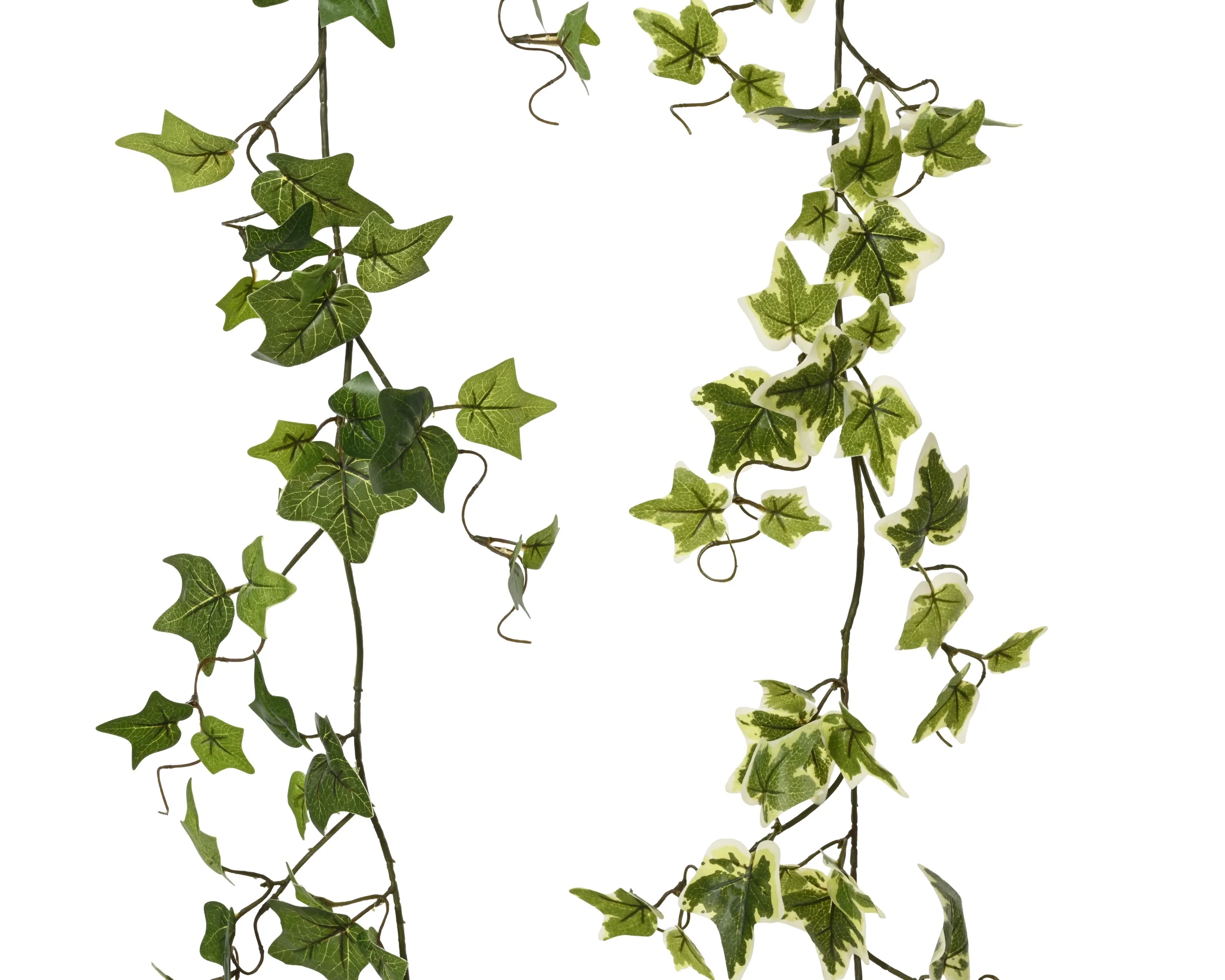 Garland ivy - sold separately