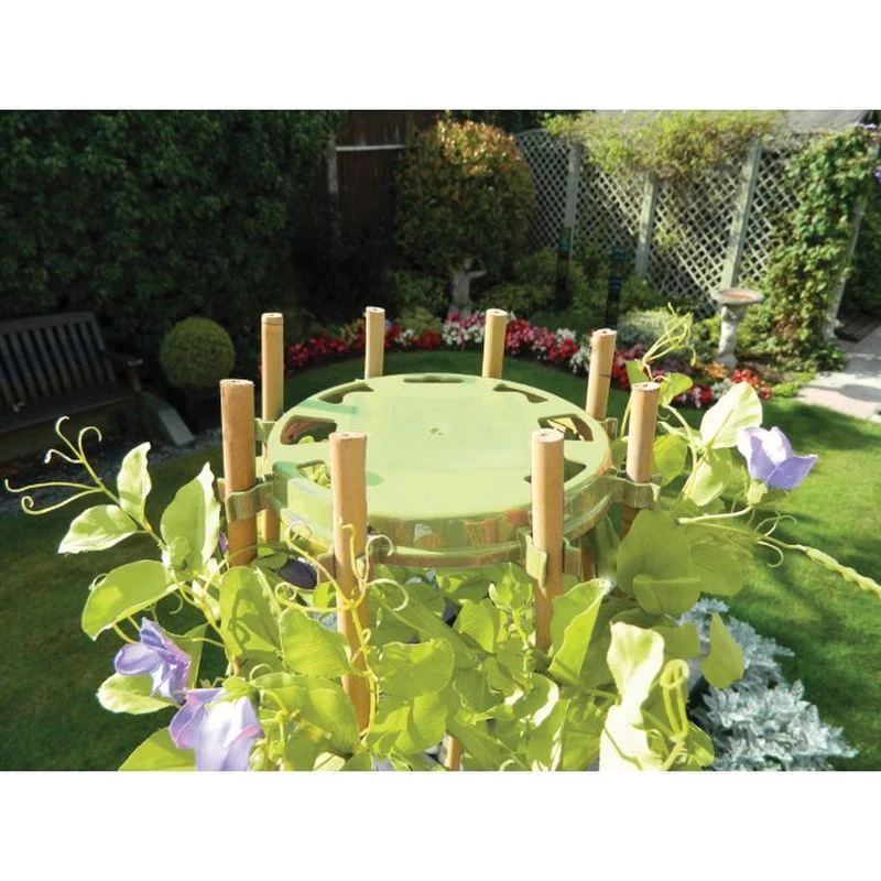 Garland Pea and Bean Ring Sage - Image 2