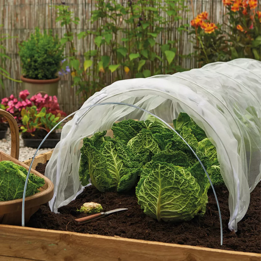 Grow It Grow Tunnel Hoops 3pk
