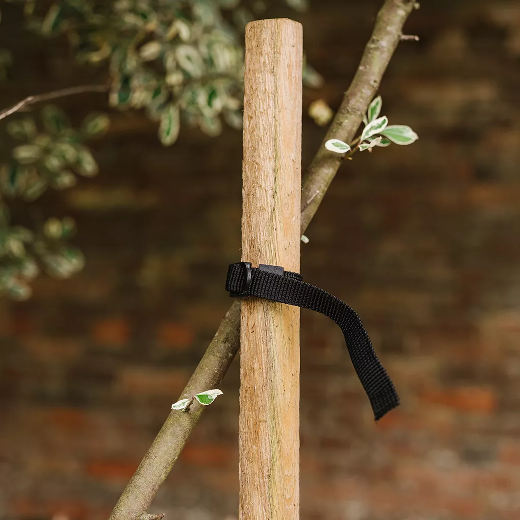 Grow It Round Tree Stake 120cm 47" - Image 3