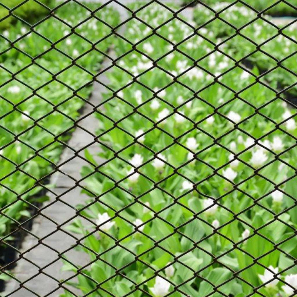 Gardman Galvanised Wire Netting 10x0.9m 50mm - Image 2