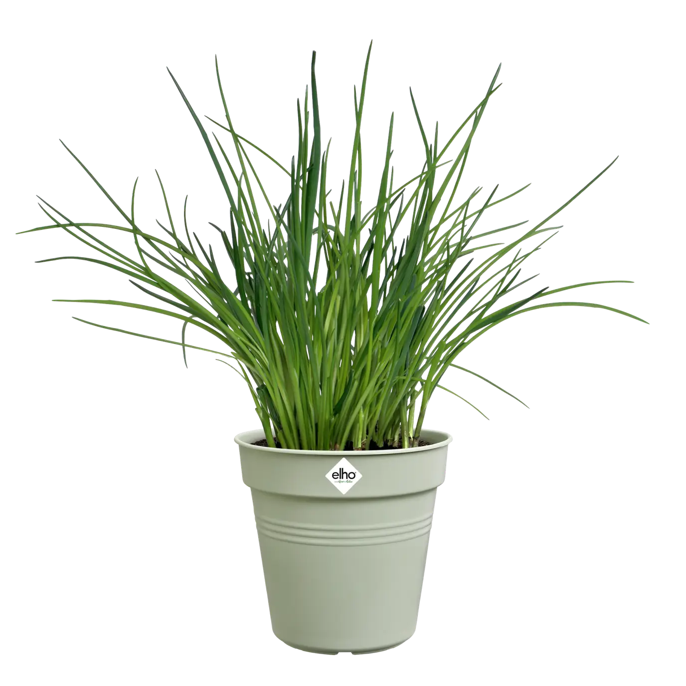 Green Basics Growpot 30cm Stone Green - Image 2