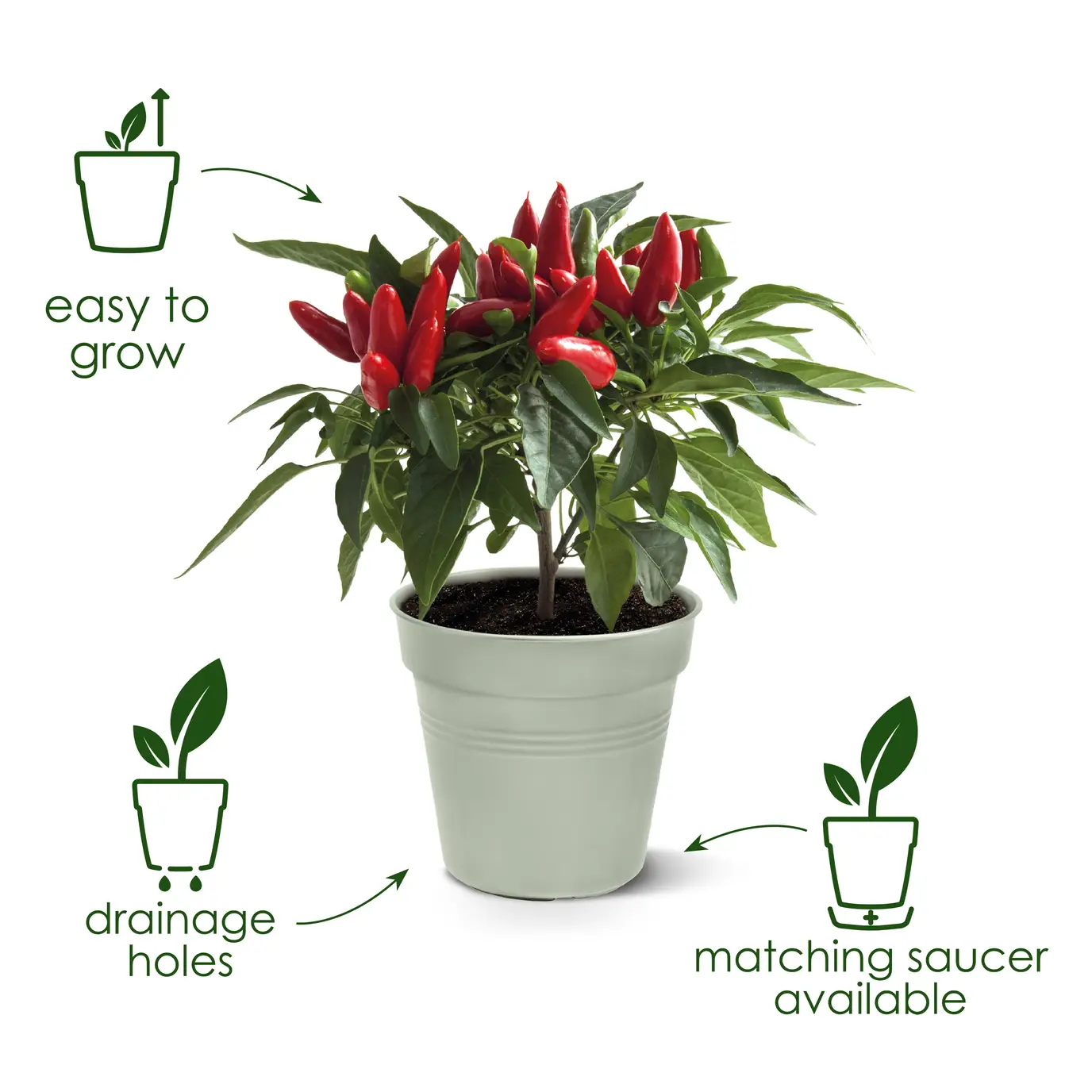 Green Basics Growpot 40cm Stone Green - Image 3
