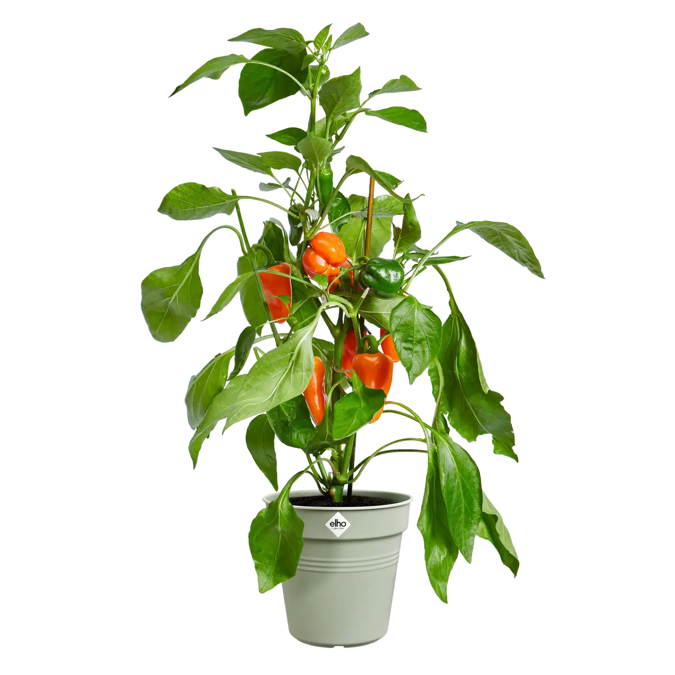Green Basics Growpot 35cm Stone Green - Image 3
