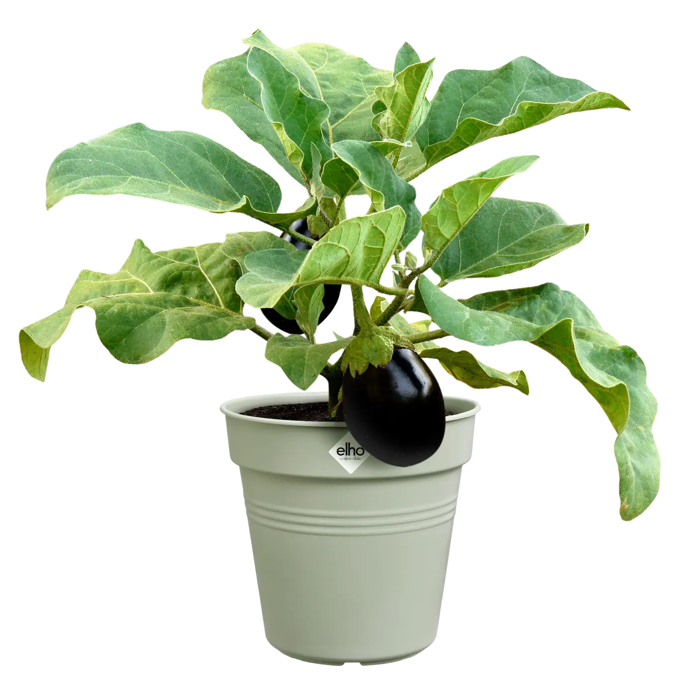 Green Basics Growpot 35cm Stone Green - Image 4