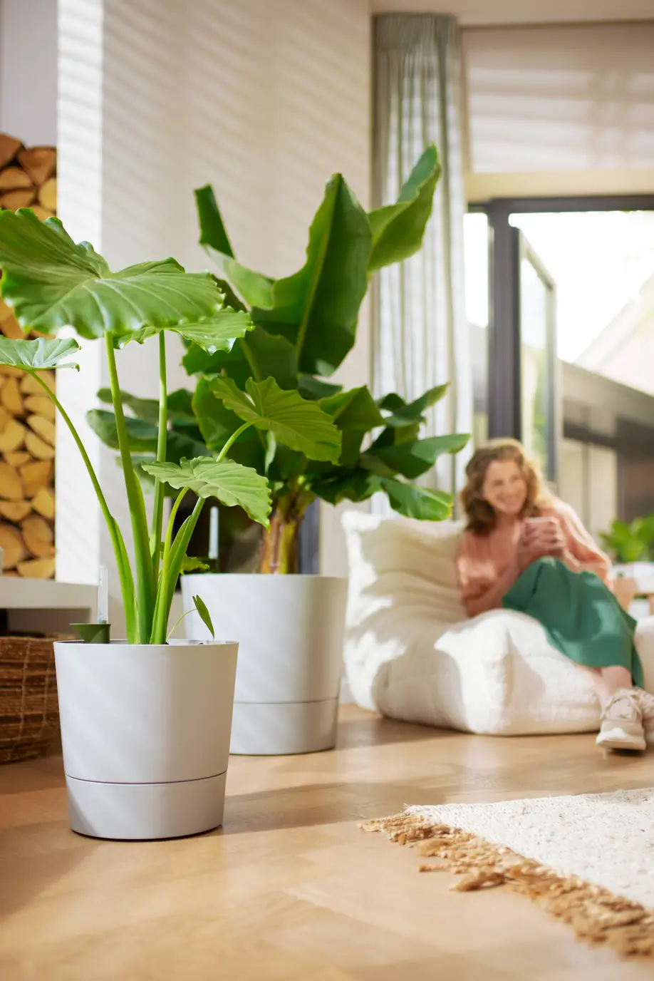 Greensense Aqua Care Round 30cm Light Concrete - Image 9