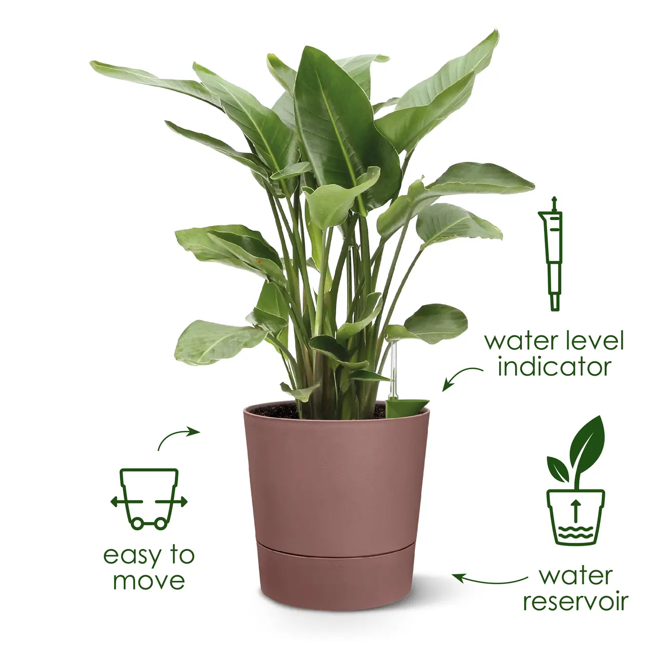 Greensense Aqua Care Round 30cm Charcoal Grey - Image 16