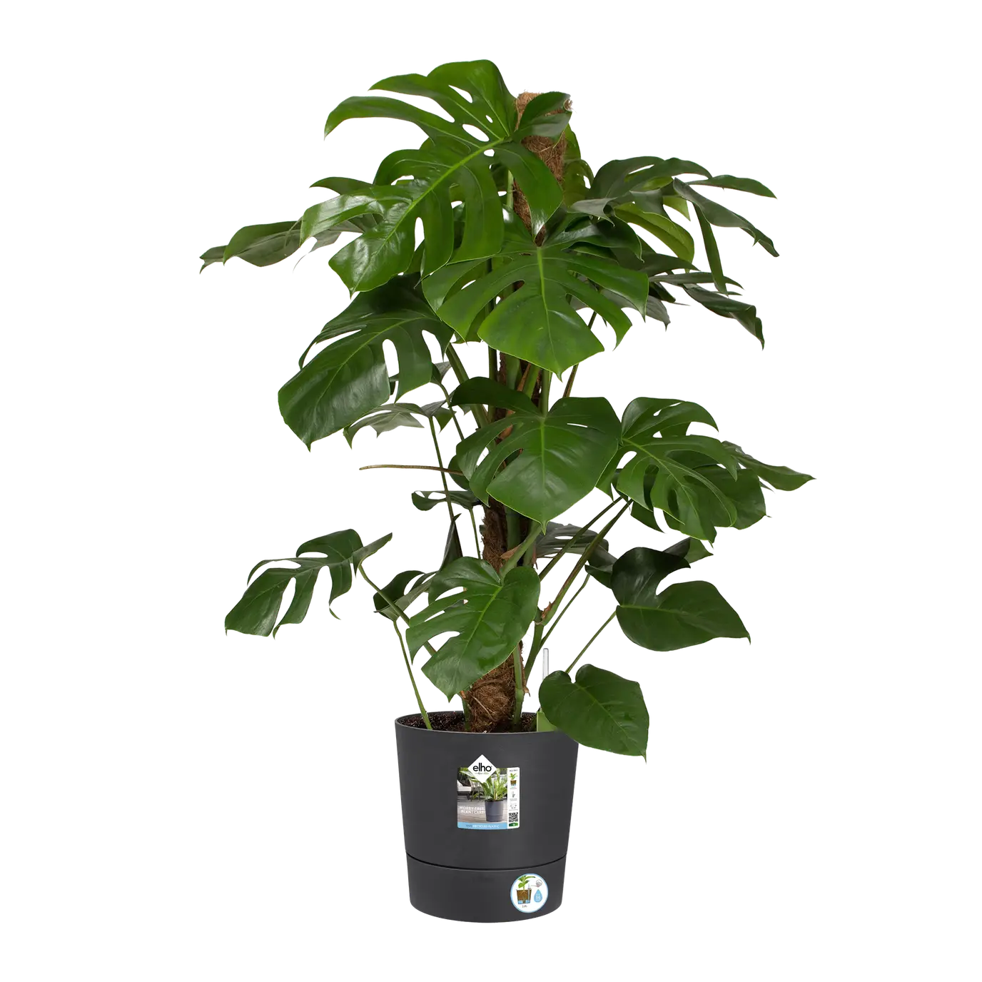 Greensense Aqua Care Round 30cm Charcoal Grey - Image 5