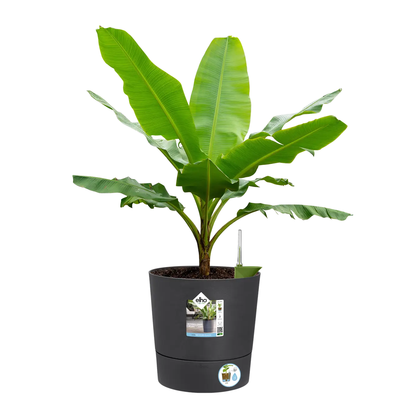 Greensense Aqua Care Round 30cm Charcoal Grey - Image 6
