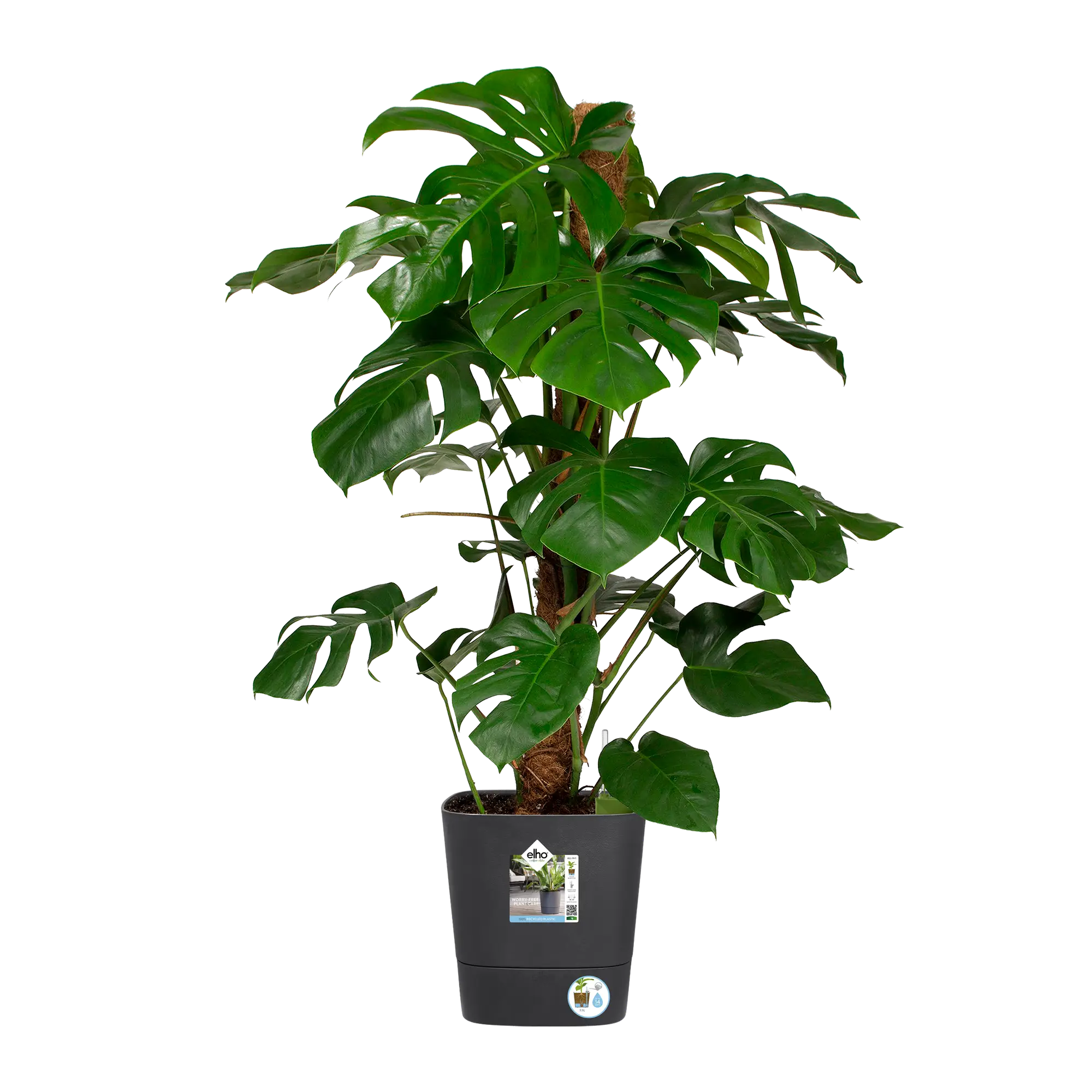 Greensense Aqua Care Square 30cm Charcoal Grey - Image 5