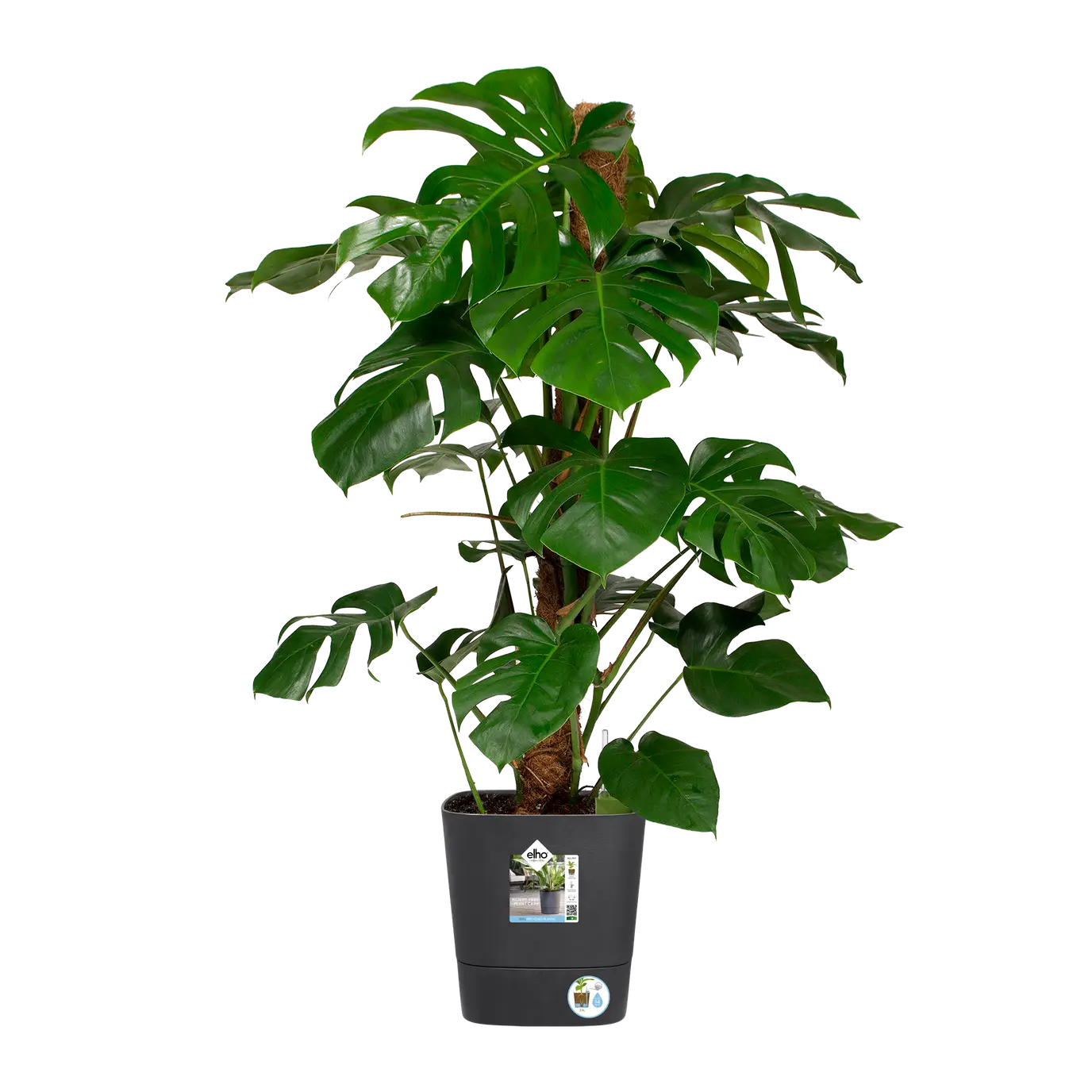 Greensense Aqua Care Square 30cm Charcoal Grey - Image 6