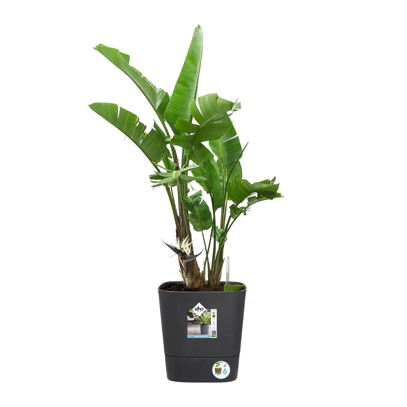 Greensense Aqua Care Square 30cm Charcoal Grey - Image 7