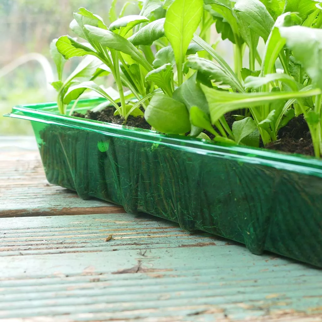Gro-Sure Visiroot Seed Tray 4 pk - Image 5