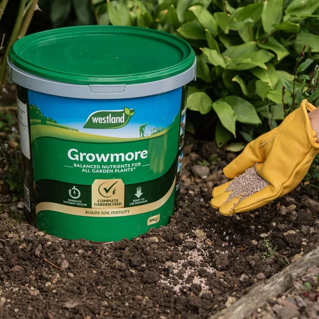 Westland Growmore All Purpose Plant Food 10kg - Image 2