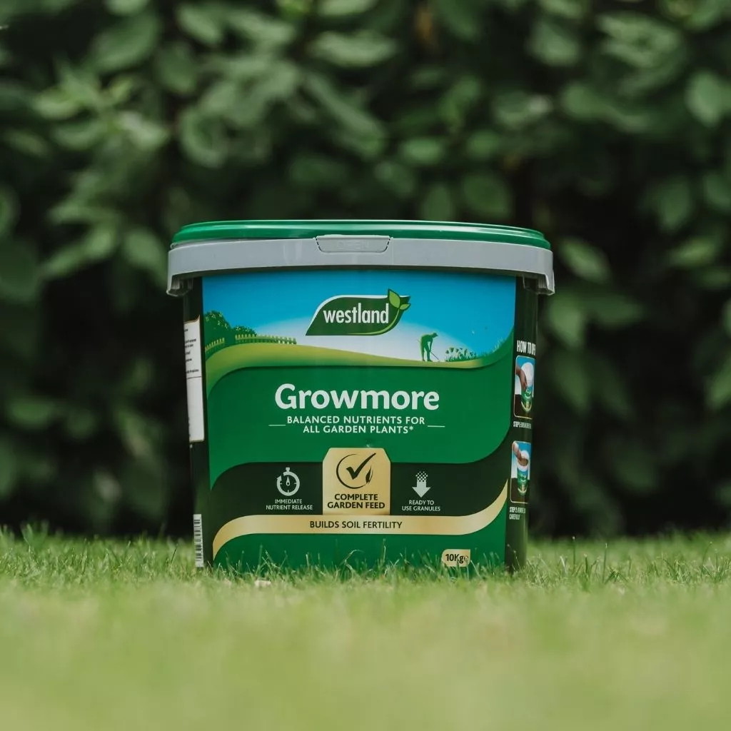 Westland Growmore All Purpose Plant Food 10kg - Image 3