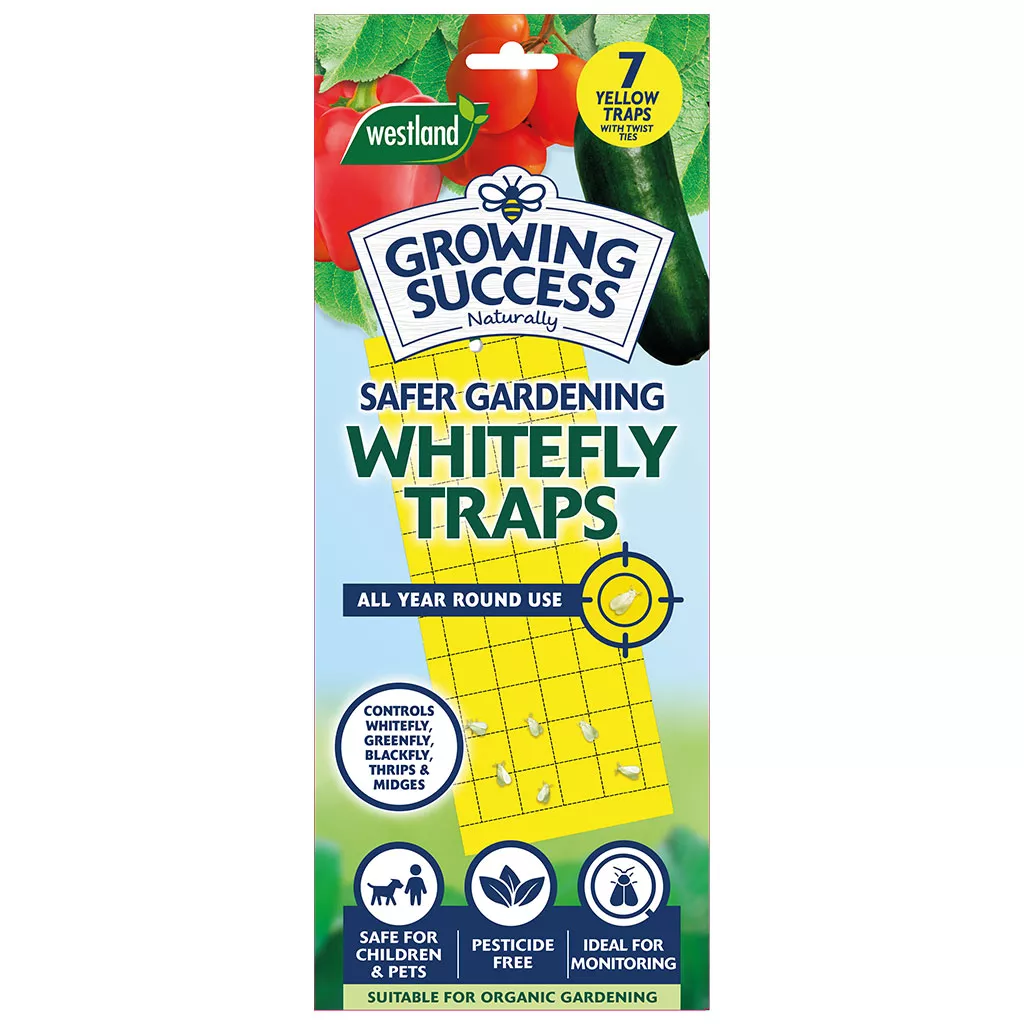 Growing Success Greenhouse Whitefly Traps