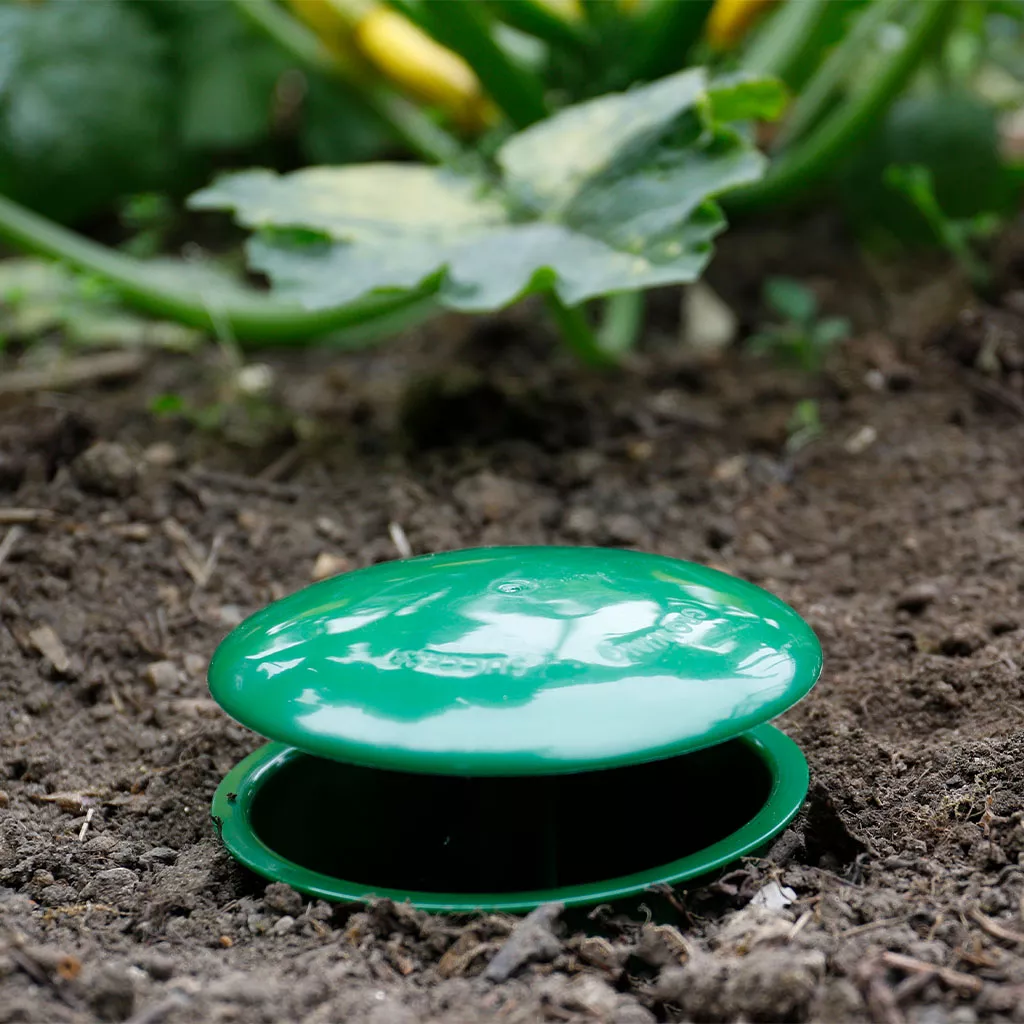 Growing Success Slug & Snail Trap - Suitable for Organic Gardening - Image 2