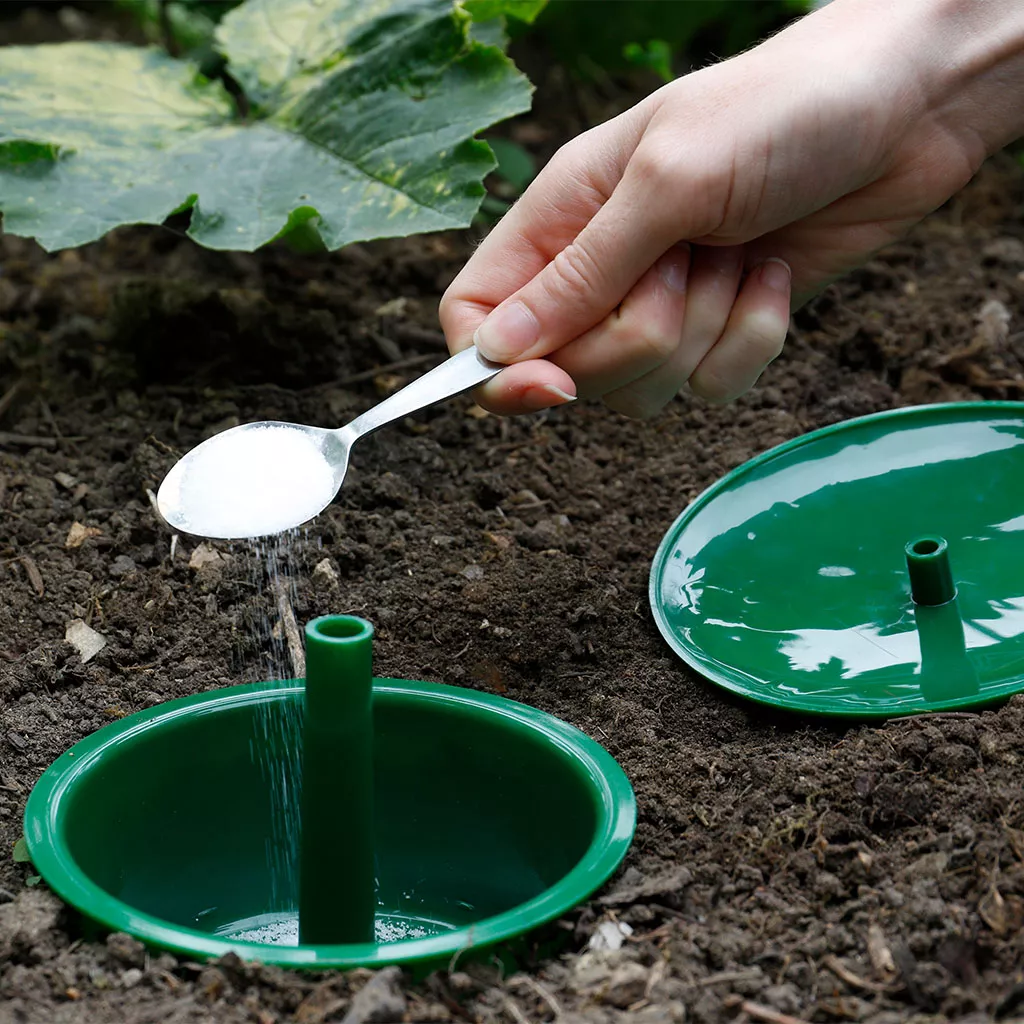Growing Success Slug & Snail Trap - Suitable for Organic Gardening - Image 3