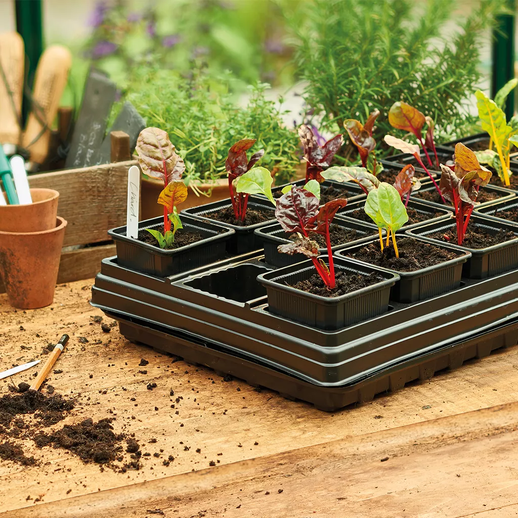 Gro-Sure Growing Tray with 18 Square Pots - Image 2