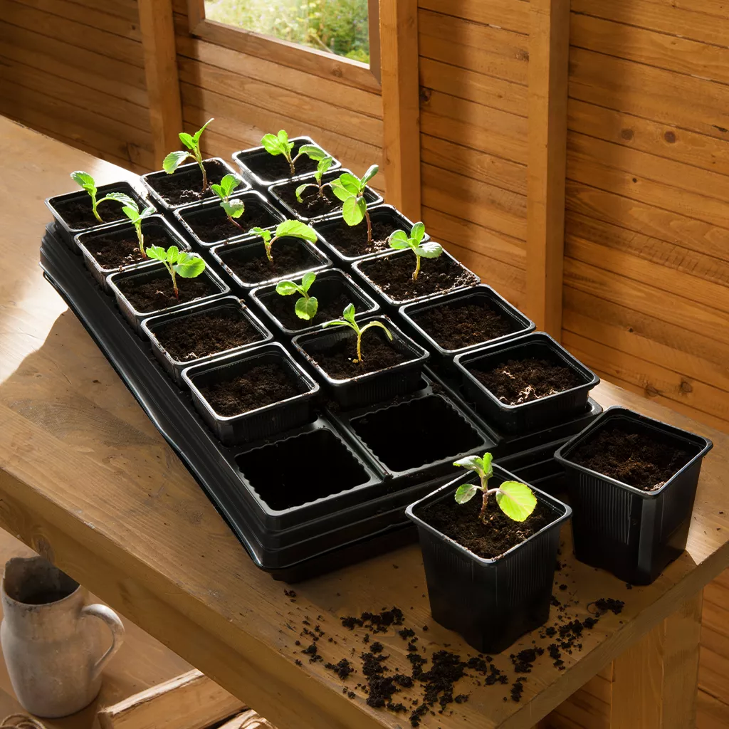 Gro-Sure Growing Tray with 18 Square Pots - Image 3