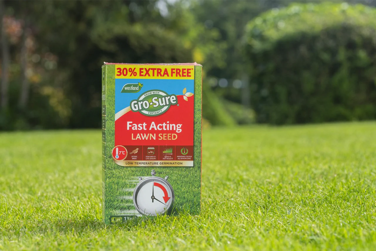 Westland Gro-Sure Fast Acting Lawn Seed (10m2) + 30% Extra Free - Image 3