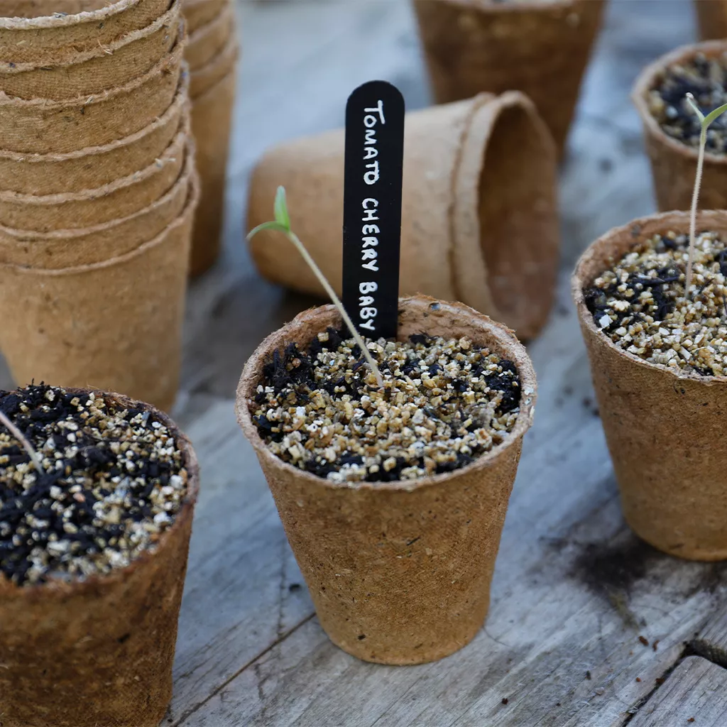 Gro-Sure Fibre Pots Round 8cm 48pk - Image 3