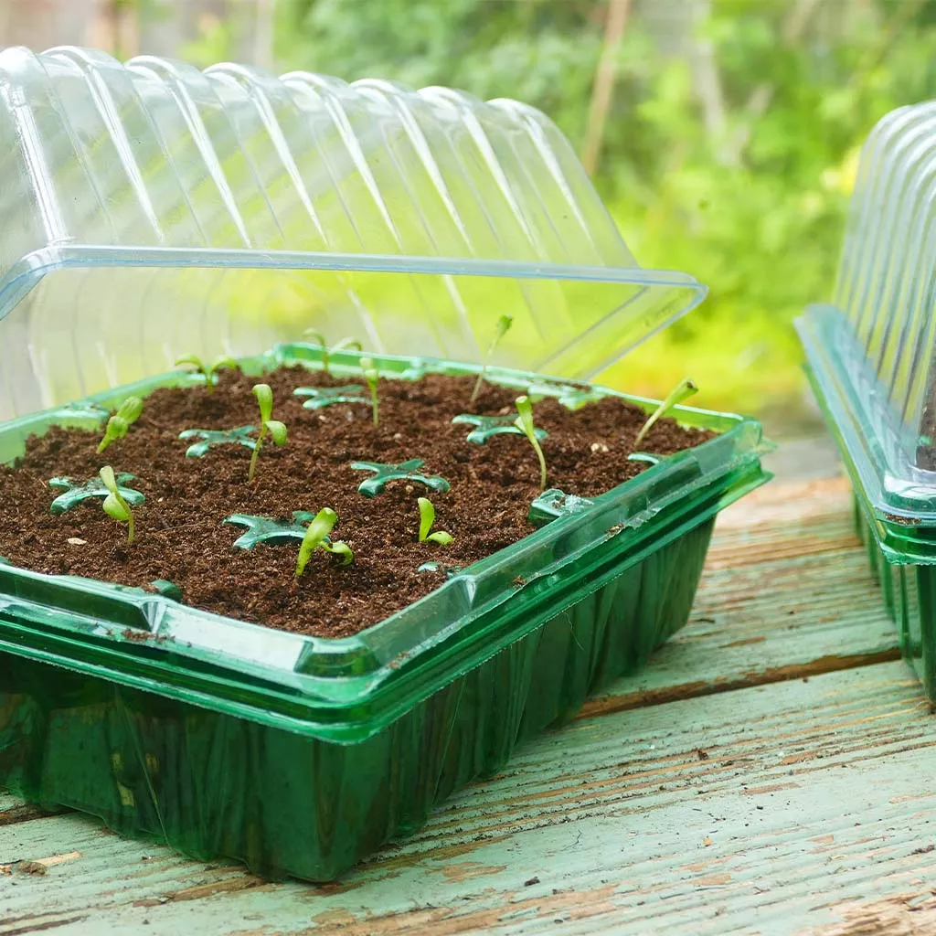 Gro-Sure Visiroot Twin Propagator Set - Image 2