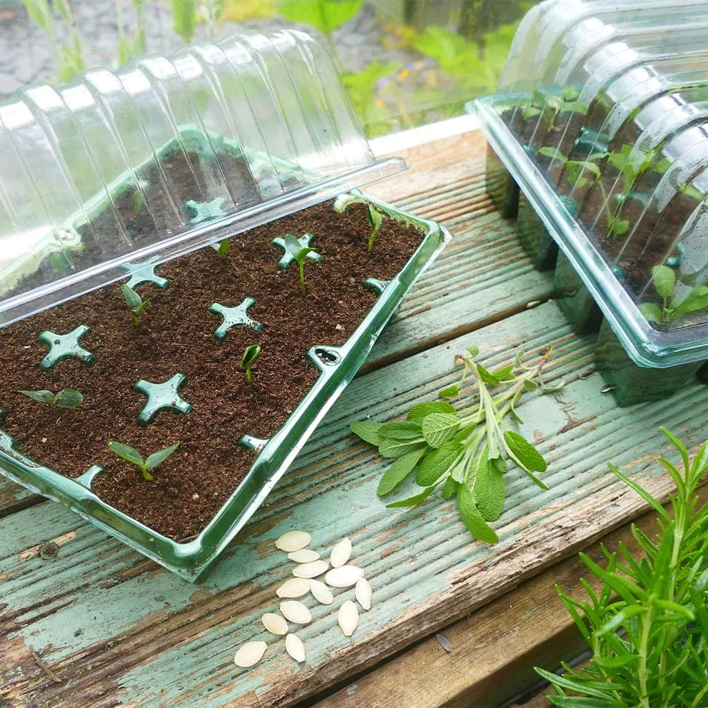 Gro-Sure Visiroot Twin Propagator Set - Image 3