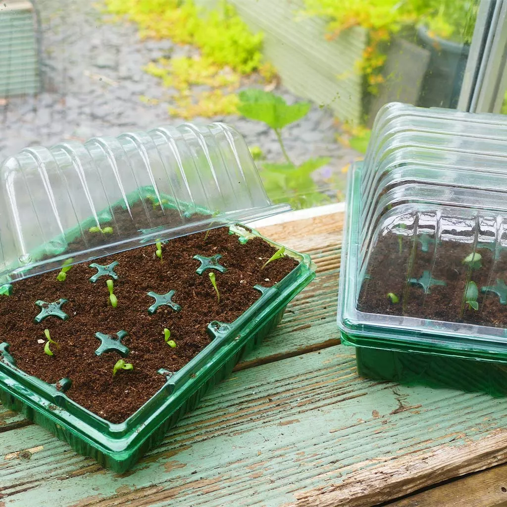 Gro-Sure Visiroot Twin Propagator Set - Image 4