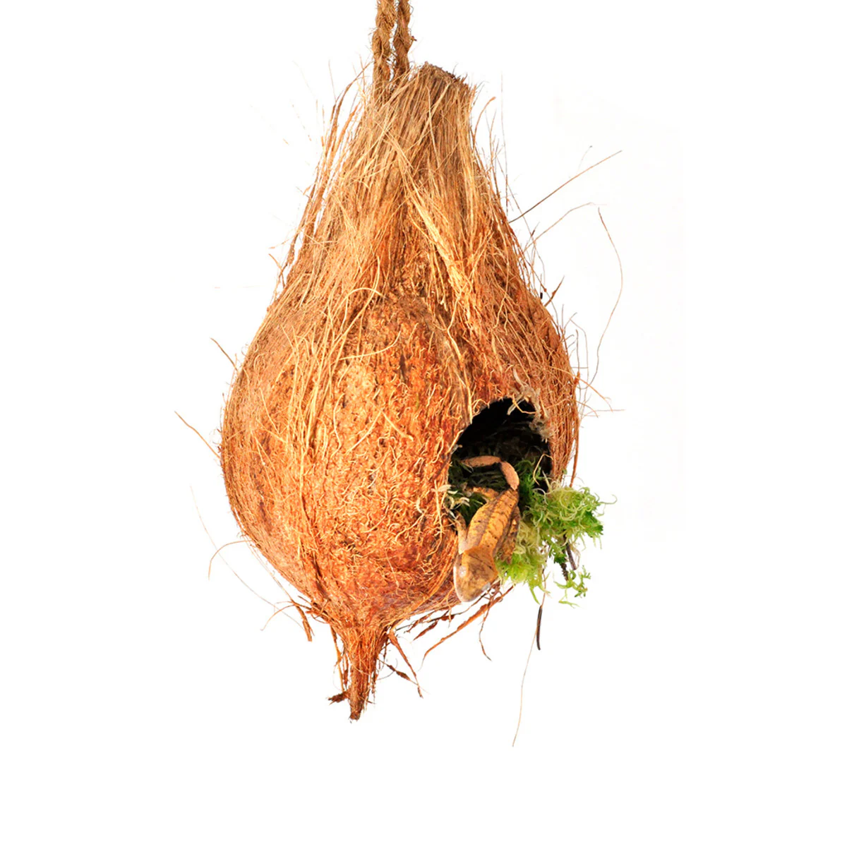 Habistat Arboreal Hide - Image 3