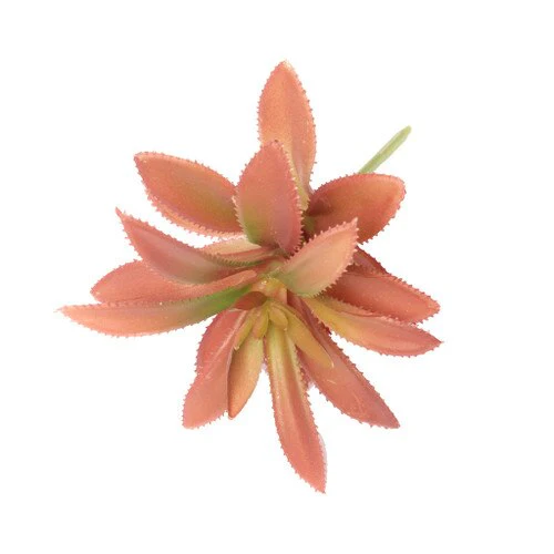 Habistat Artificial Plant, 3 pack Succulent - Image 3