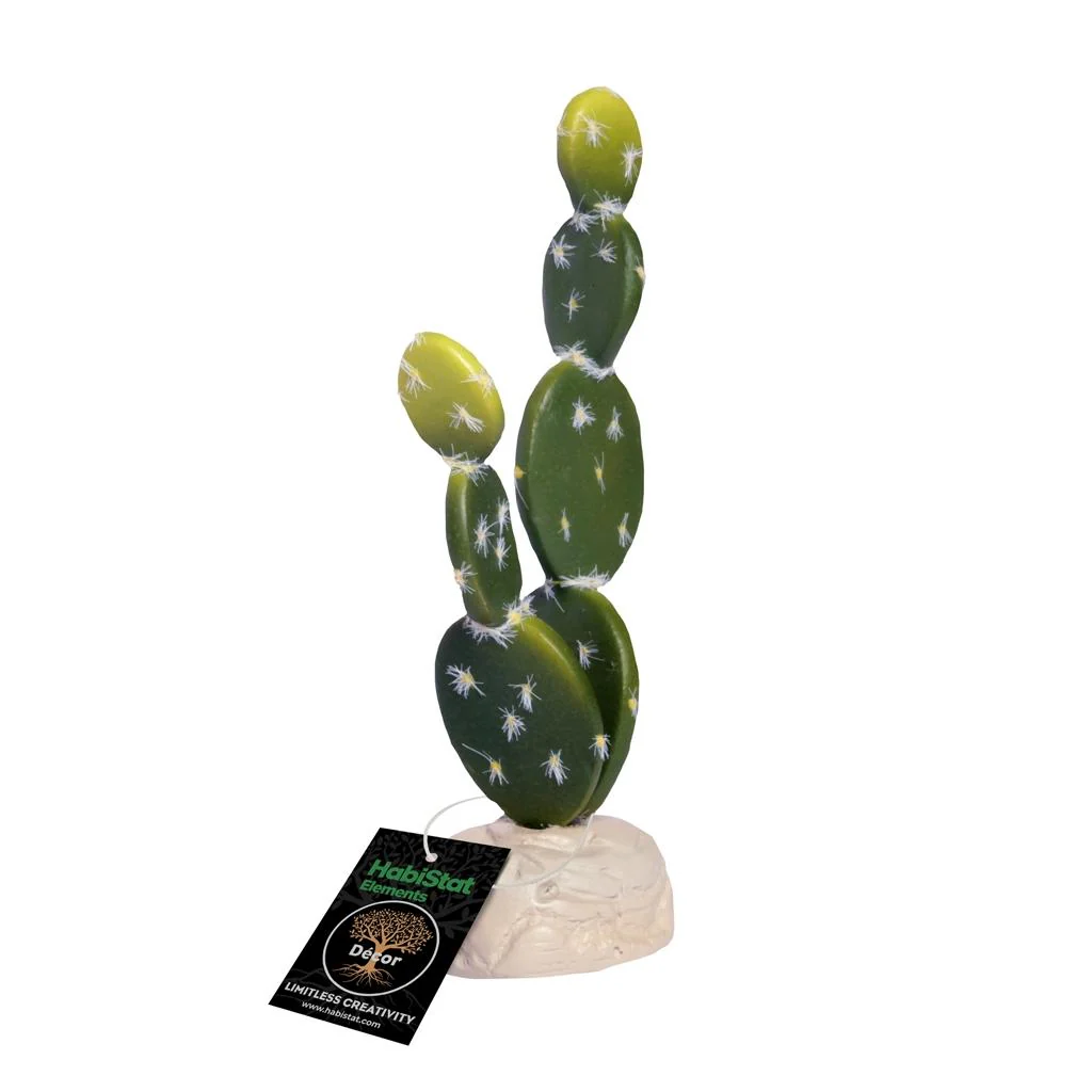 Habistat Cacti, Bunny Ears