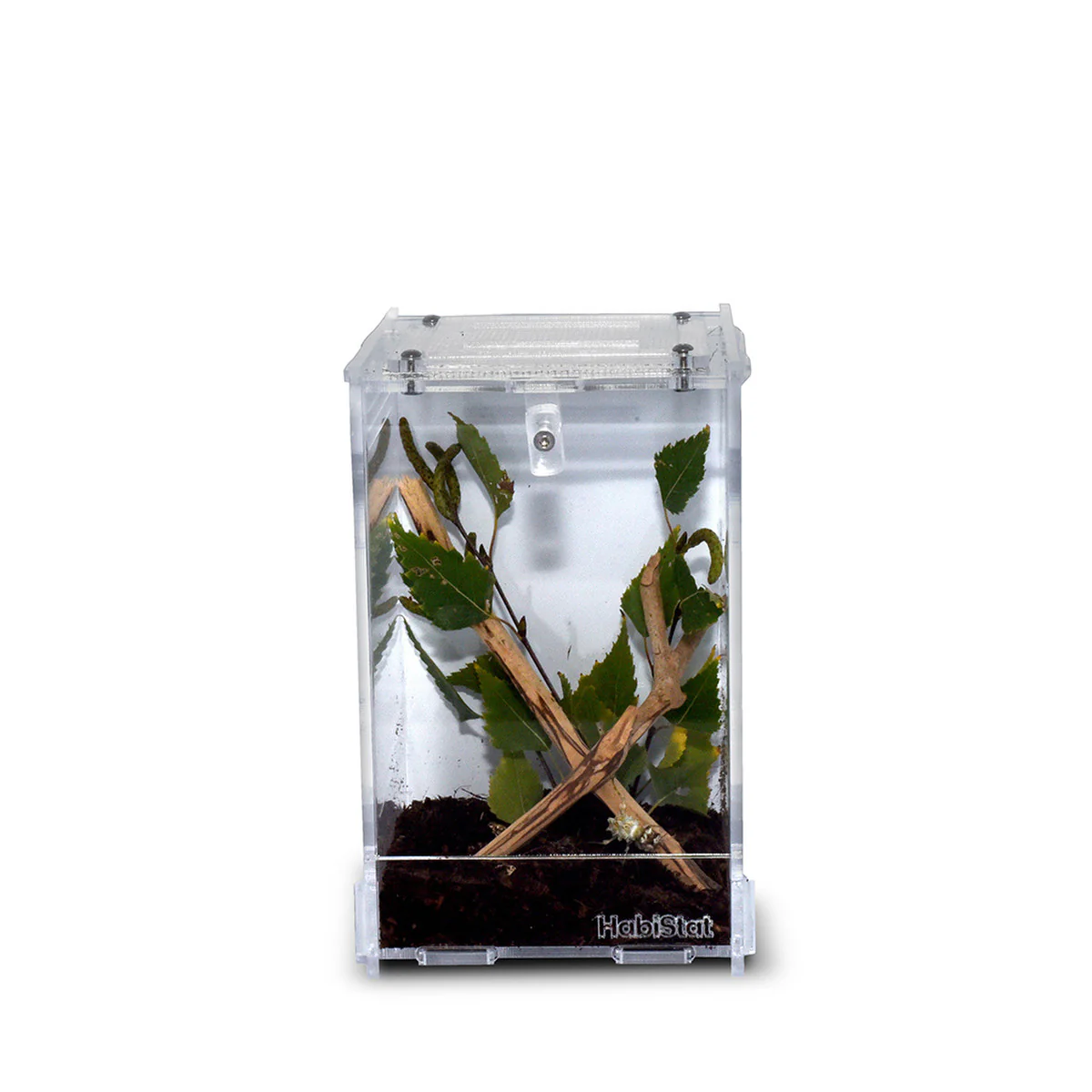 Habistat Clear Home Small (10 x 11.5 x 16.5cm) - Image 3