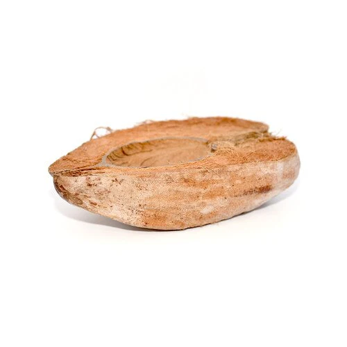Habistat Coco Bowl 18cm x 13cm x 7.5cm - Image 3