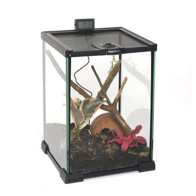 HabiStat Invertebrate Starter Kit 20 x 20 x 30cm - Image 4