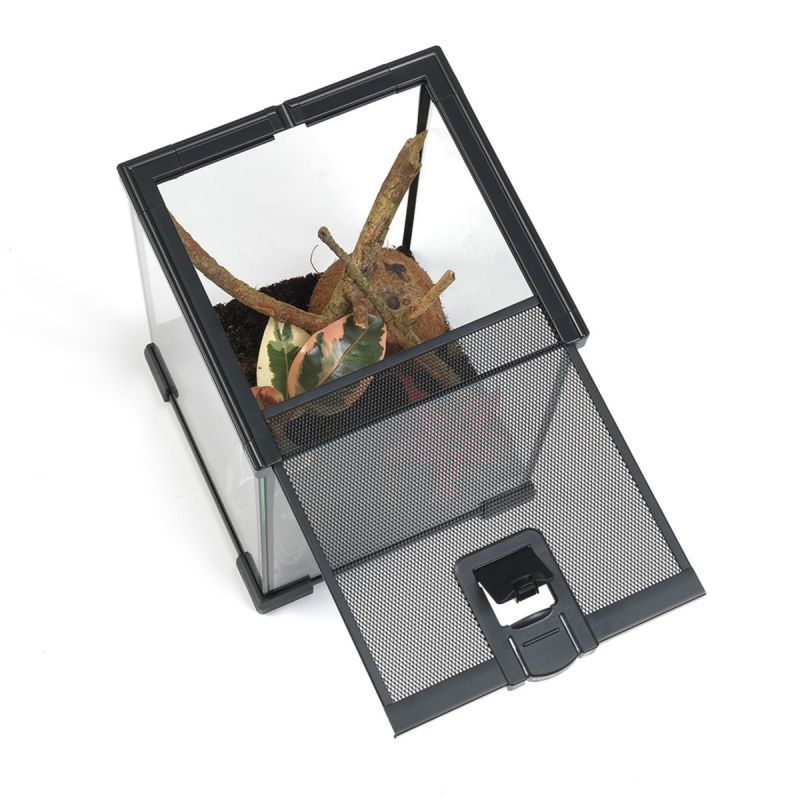 HabiStat Invertebrate Starter Kit 20 x 20 x 30cm - Image 5