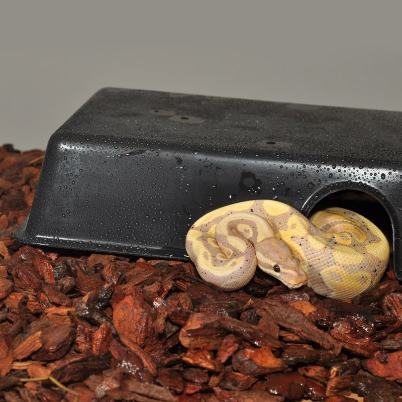 HabiStat Plastic Hide Large 32.5 x 23.5 x 8cm - Image 2