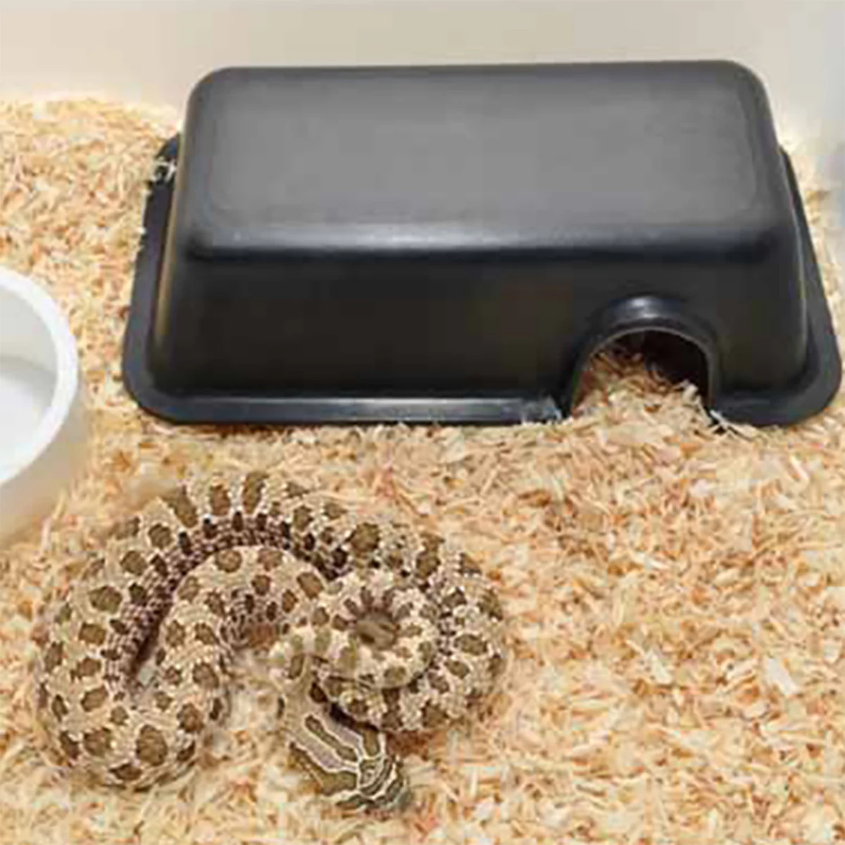 Habistat Plastic Hide (Extra Small) - Image 2